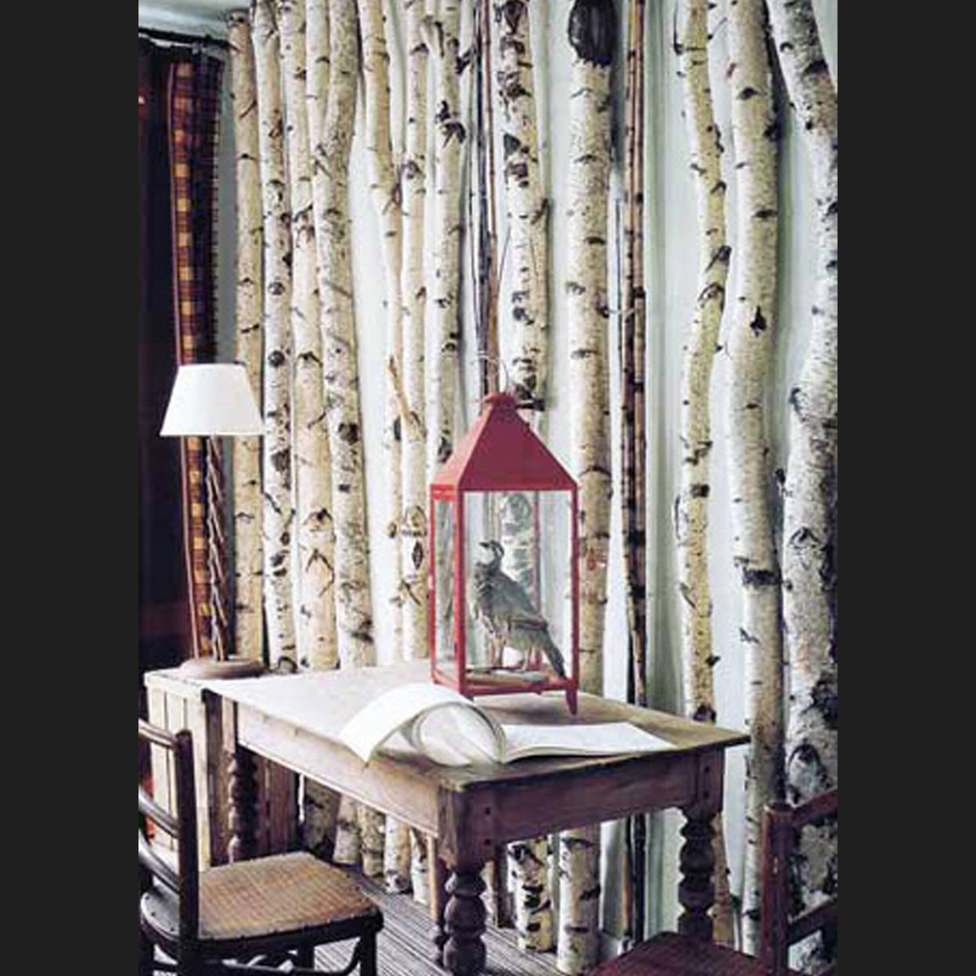 Wilson® Enterprises White Birch Pole Pack